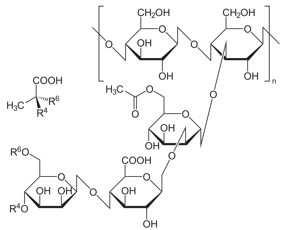 Công thức cấu tạo của Xanthan Gum