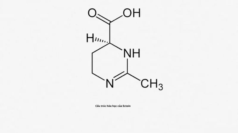 Cấu trúc hóa học của hoạt chất Ecotin