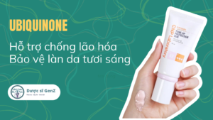 Ubiquinone (Coenzym Q10) là gì?