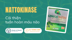 Thông tin tổng quát về hoạt chất Nattokinase