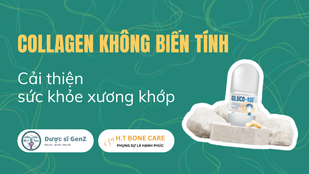 Collagen không biến tính và tác dụng đối với xương khớp